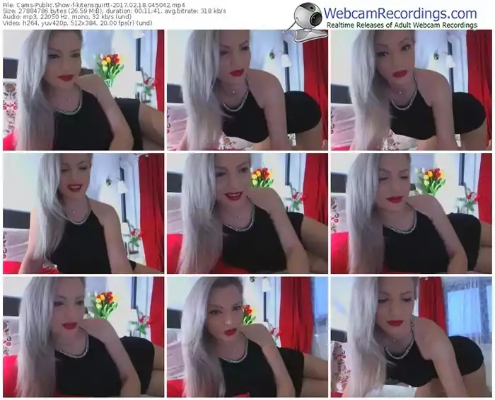 cams-kitensquirtt-webcam-show-02_18_2017-04_50_42