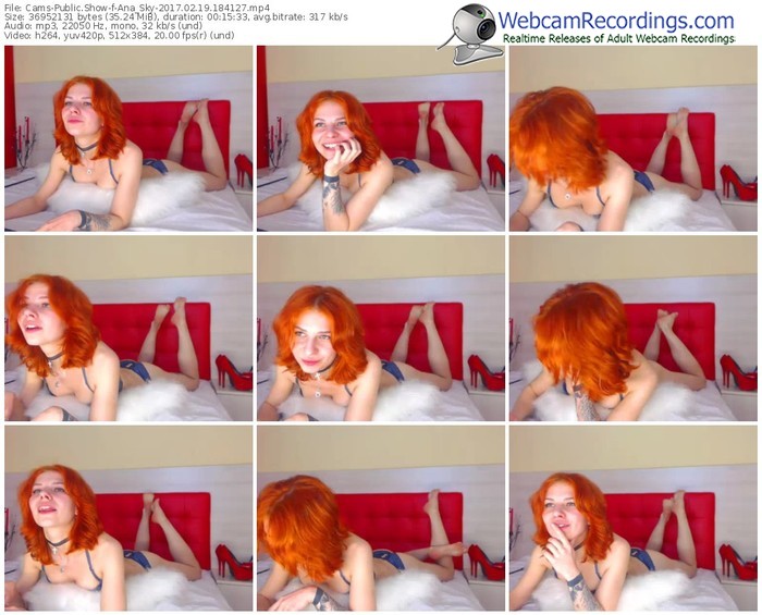 cams-ana_sky-webcam-show-02_19_2017-18_41_27