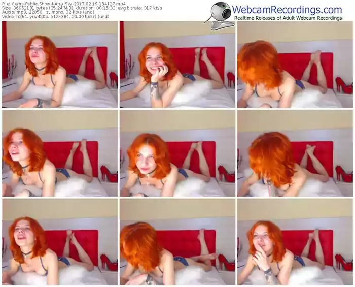 cams-ana_sky-webcam-show-02_19_2017-18_41_27