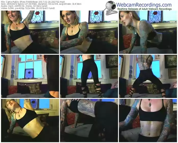 cams-nikkibeez-webcam-show-02_20_2017-23_27_02