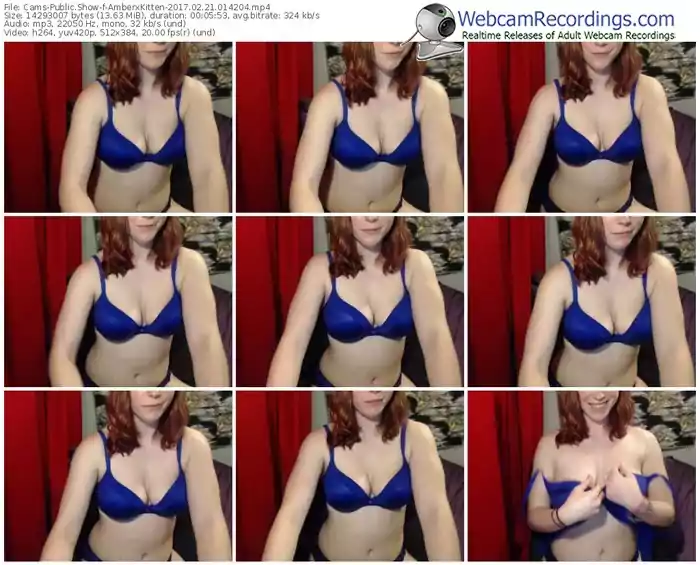 cams-amberxkitten-webcam-show-02_21_2017-01_42_04