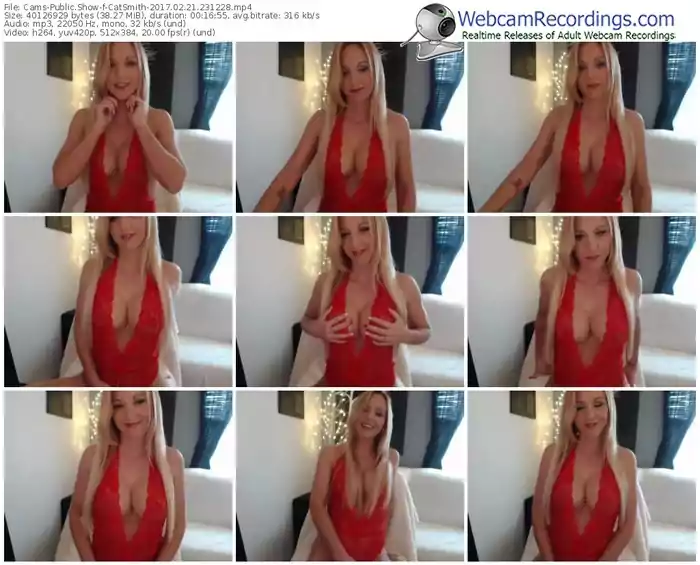 cams-catsmith-webcam-show-02_21_2017-23_12_28