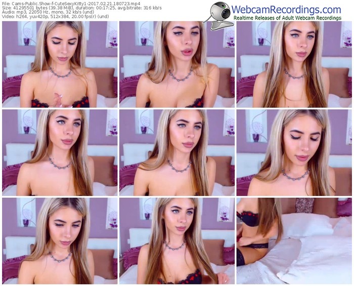 cams-cutesexykitty1-webcam-show-02_21_2017-18_07_23