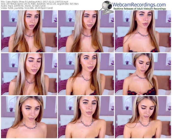 cams-cutesexykitty1-webcam-show-02_21_2017-19_07_23