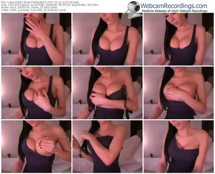 cams-filthybitch-webcam-show-02_21_2017-13_27_18