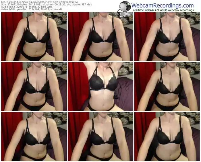 cams-amberxkitten-webcam-show-02_22_2017-02_22_32