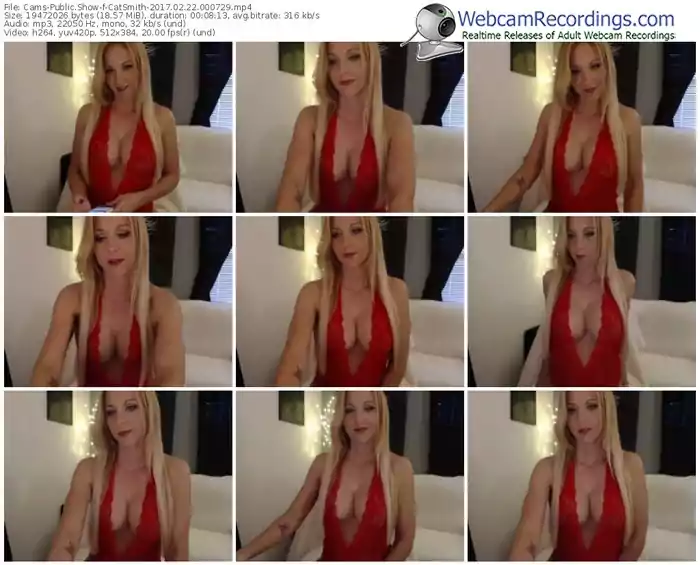 cams-catsmith-webcam-show-02_22_2017-00_07_29