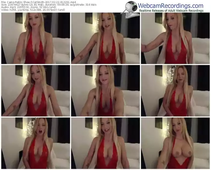 cams-catsmith-webcam-show-02_22_2017-01_22_31