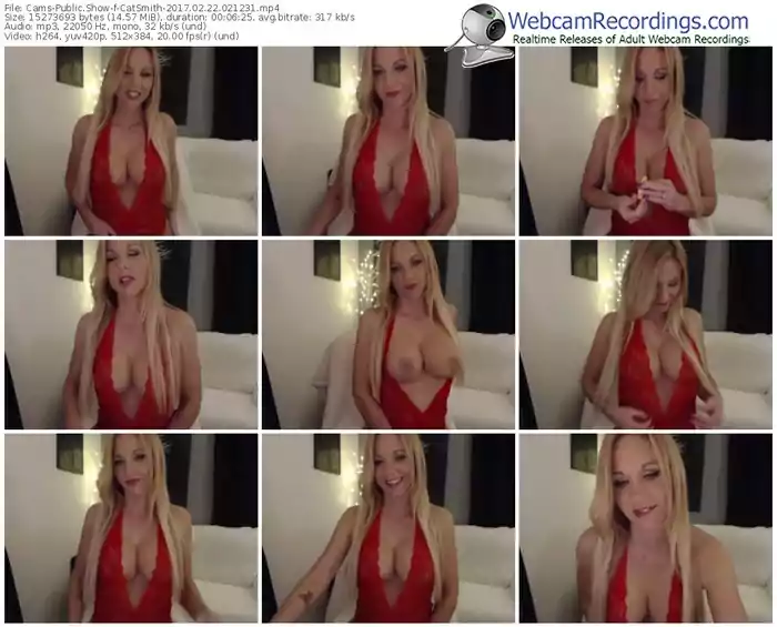 cams-catsmith-webcam-show-02_22_2017-02_12_31