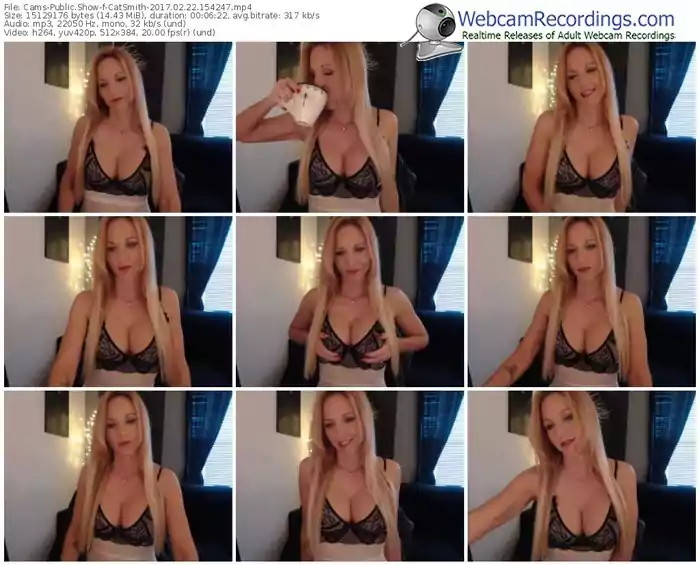 cams-catsmith-webcam-show-02_22_2017-15_42_47