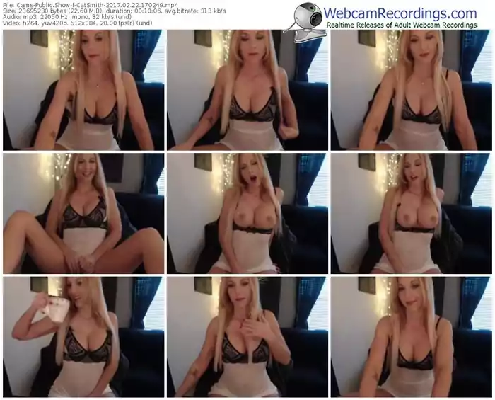 cams-catsmith-webcam-show-02_22_2017-17_02_49
