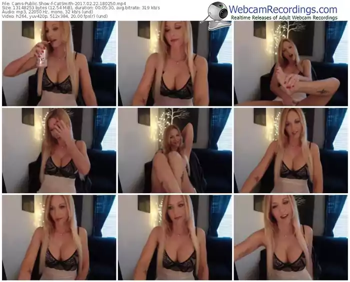 cams-catsmith-webcam-show-02_22_2017-18_02_50