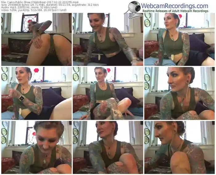 cams-nikkibeez-webcam-show-02_22_2017-22_22_55