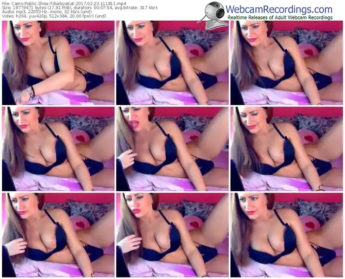 cams-barbyekat-webcam-show-02_23_2017-11_18_11