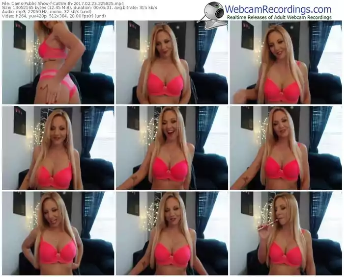 cams-catsmith-webcam-show-02_23_2017-22_58_25