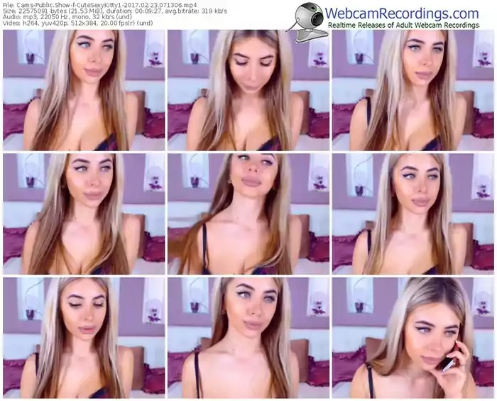 cams-cutesexykitty1-webcam-show-02_23_2017-07_13_06