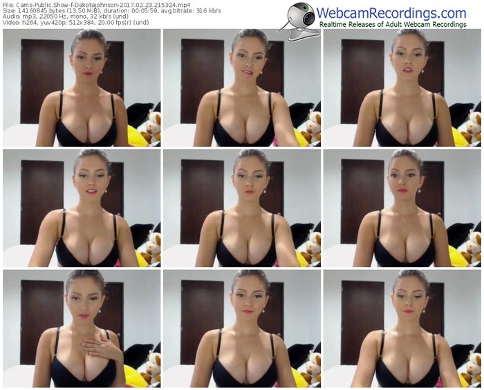 cams-dakotajohnson-webcam-show-02_23_2017-21_53_24