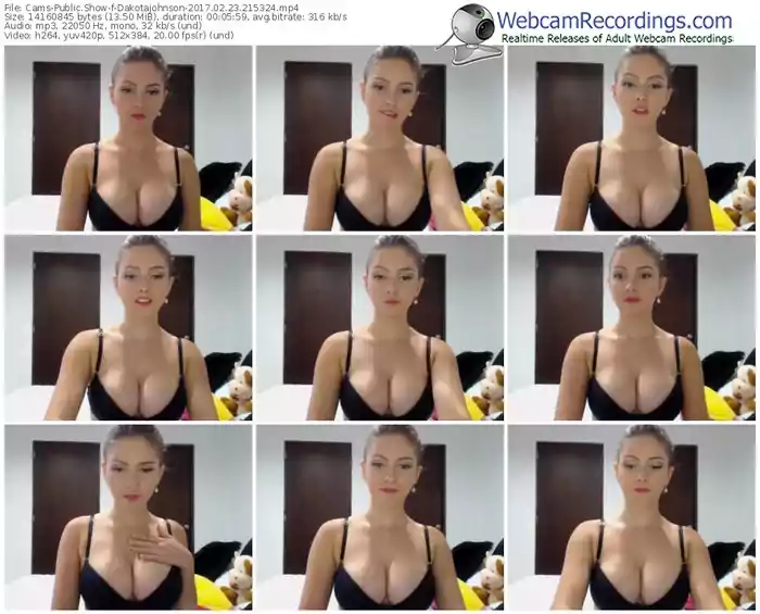 cams-dakotajohnson-webcam-show-02_23_2017-21_53_24