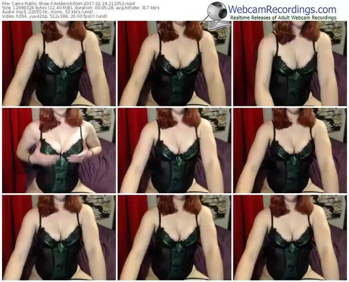 cams-amberxkitten-webcam-show-02_24_2017-21_23_52