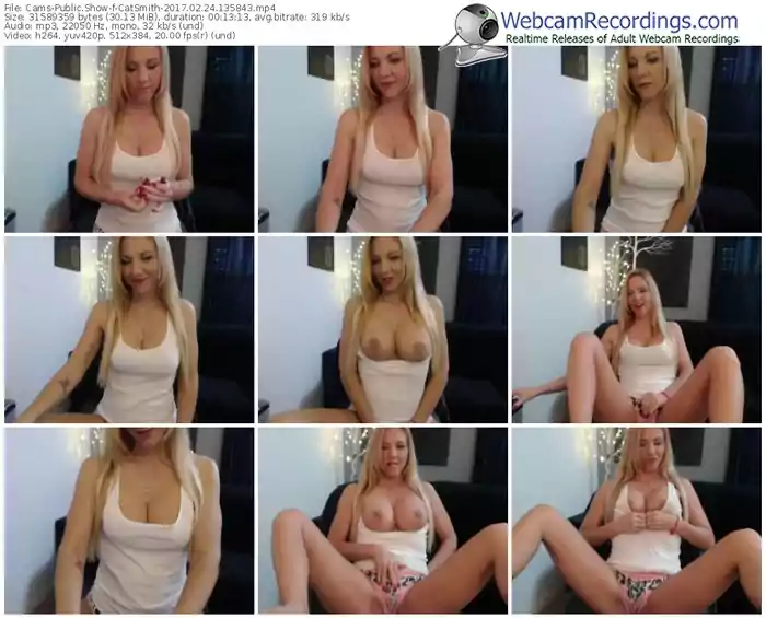 cams-catsmith-webcam-show-02_24_2017-13_58_43