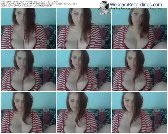 cams-merllin-webcam-show-02_24_2017-11_53_41