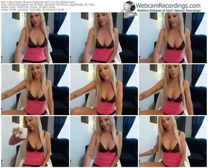 cams-catsmith-webcam-show-02_25_2017-16_09_14