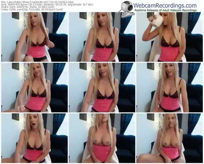 cams-catsmith-webcam-show-02_25_2017-16_24_14
