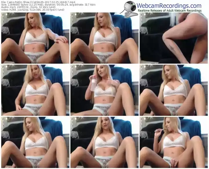 cams-catsmith-webcam-show-02_25_2017-18_44_17