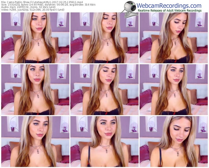 cams-cutesexykitty1-webcam-show-02_25_2017-13_59_11