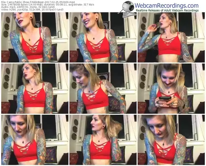 cams-nikkibeez-webcam-show-02_25_2017-05_09_00