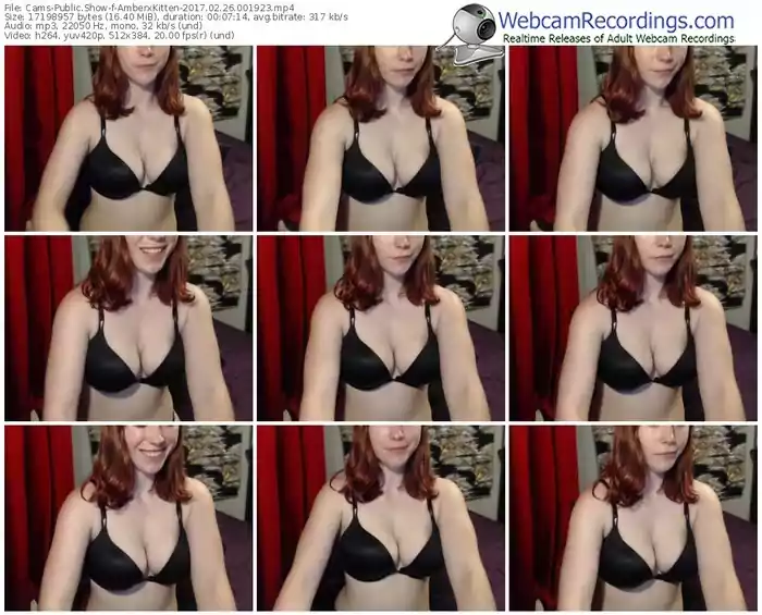cams-amberxkitten-webcam-show-02_26_2017-00_19_23