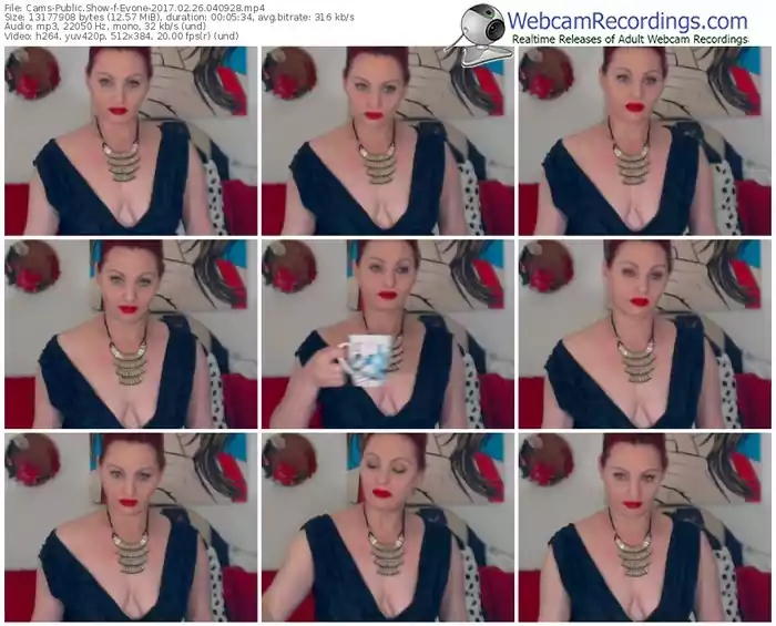 cams-evone-webcam-show-02_26_2017-04_09_28