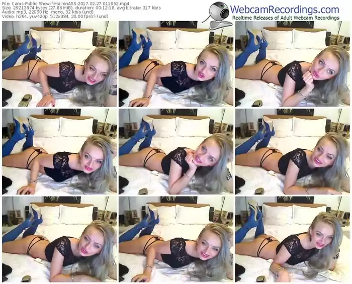 cams-mallenass-webcam-show-02_27_2017-01_19_52