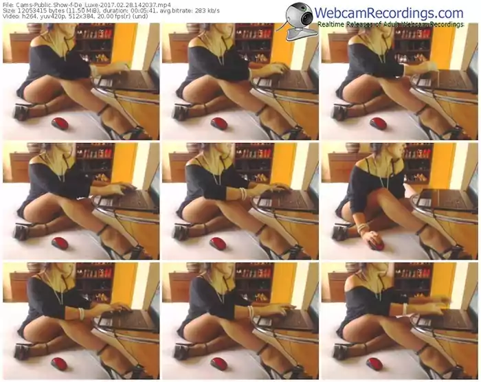 cams-de_luxe-webcam-show-02_28_2017-14_20_37
