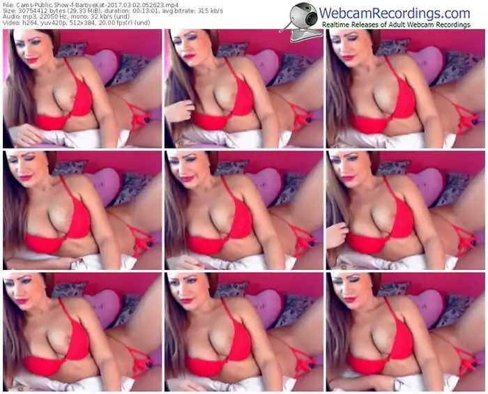 cams-barbyekat-webcam-show-03_02_2017-05_26_23