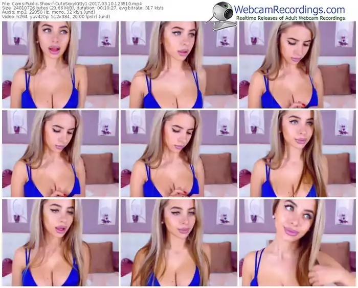 cams-cutesexykitty1-webcam-show-03_10_2017-12_35_10