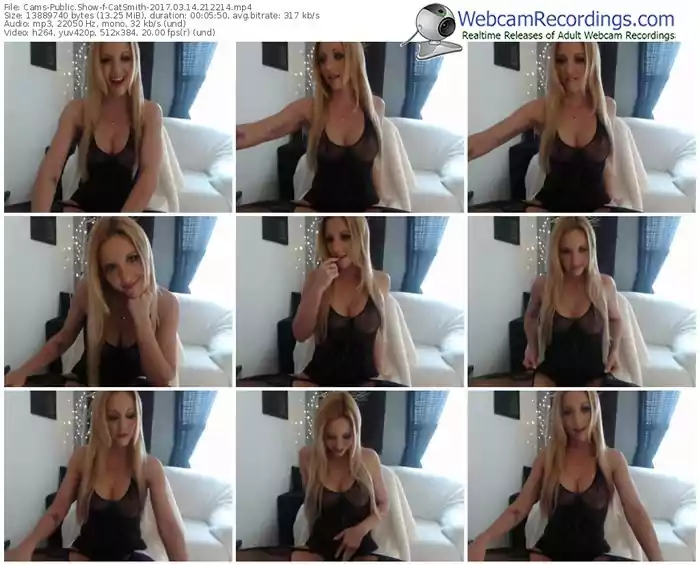 cams-catsmith-webcam-show-03_14_2017-21_22_14