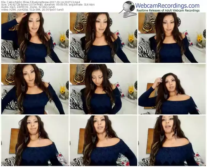 cams-evelynerosse-webcam-show-03_14_2017-20_27_13