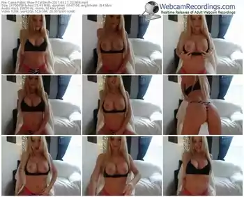 cams-catsmith-webcam-show-03_17_2017-21_18_38