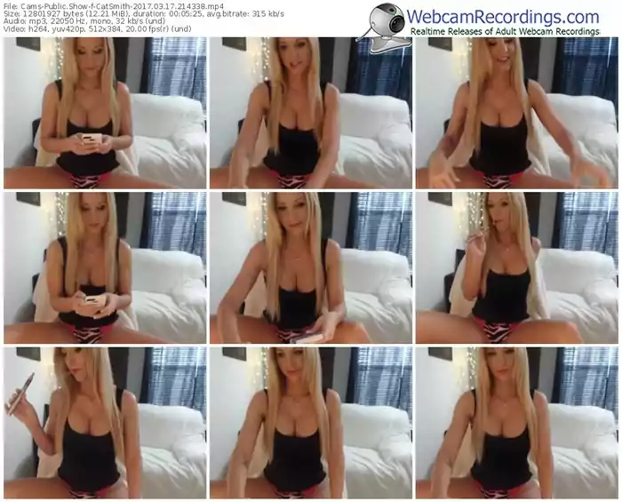 cams-catsmith-webcam-show-03_17_2017-21_43_38