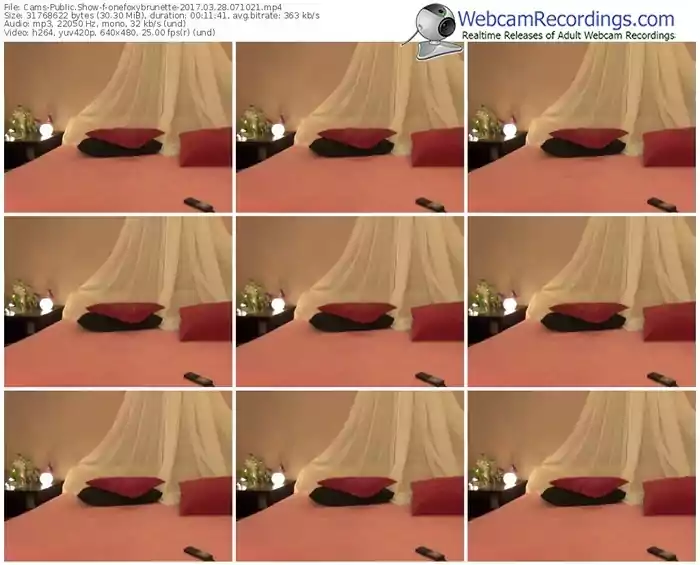 cams-onefoxybrunette-webcam-show-03_28_2017-07_10_21