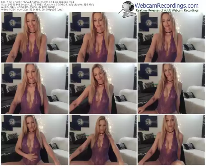 cams-catsmith-webcam-show-04_26_2017-16_46_46