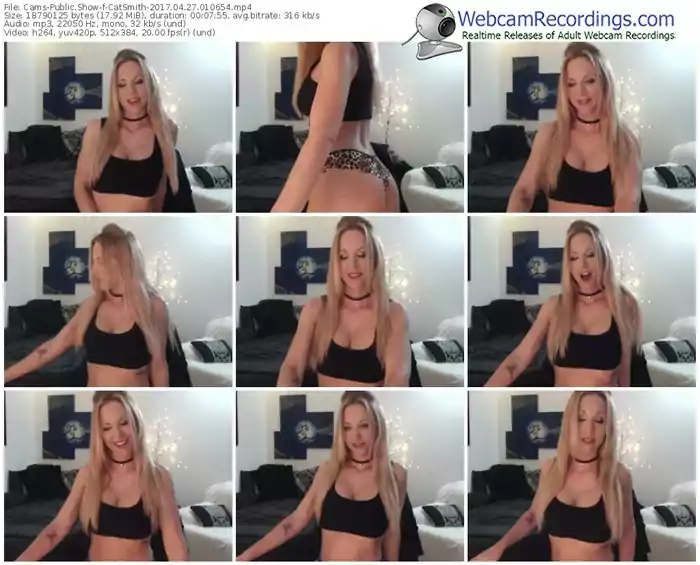 cams-catsmith-webcam-show-04_27_2017-01_06_54