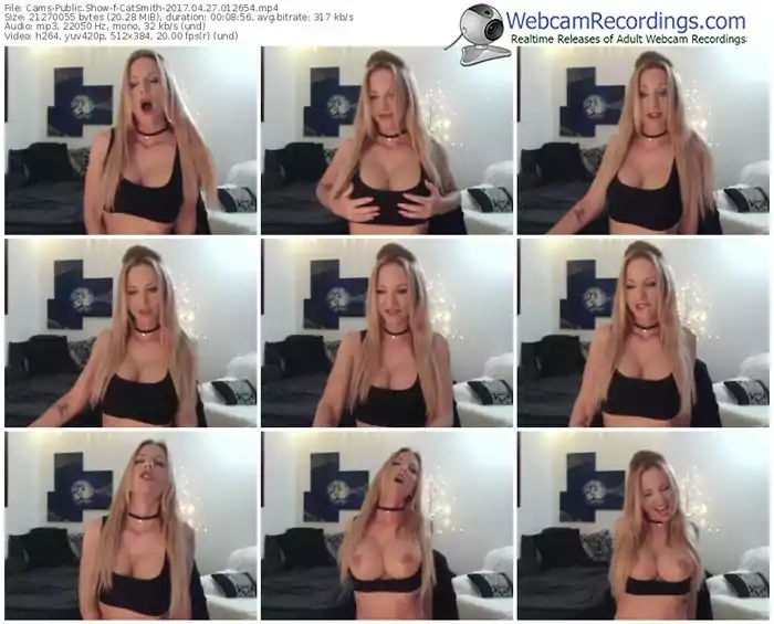 cams-catsmith-webcam-show-04_27_2017-01_26_54