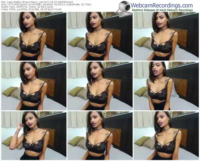 cams-maxci_cat-webcam-show-04_27_2017-04_56_58