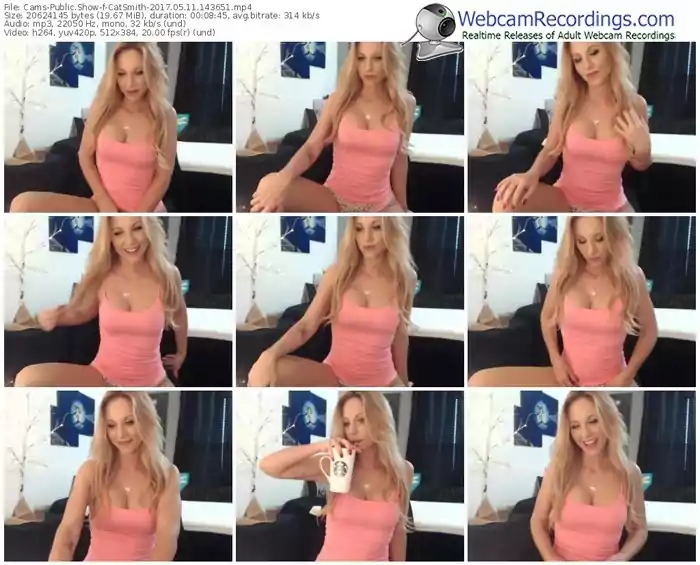 cams-catsmith-webcam-show-05_11_2017-14_36_51