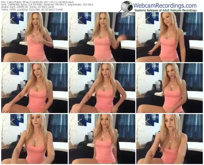 cams-catsmith-webcam-show-05_11_2017-16_26_54