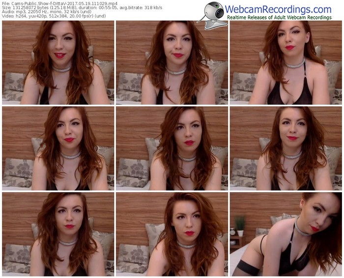 cams-dittav-webcam-show-05_19_2017-11_10_29