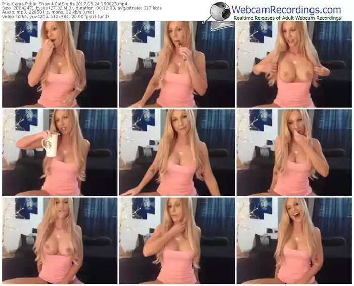 cams-catsmith-webcam-show-05_24_2017-16_00_23