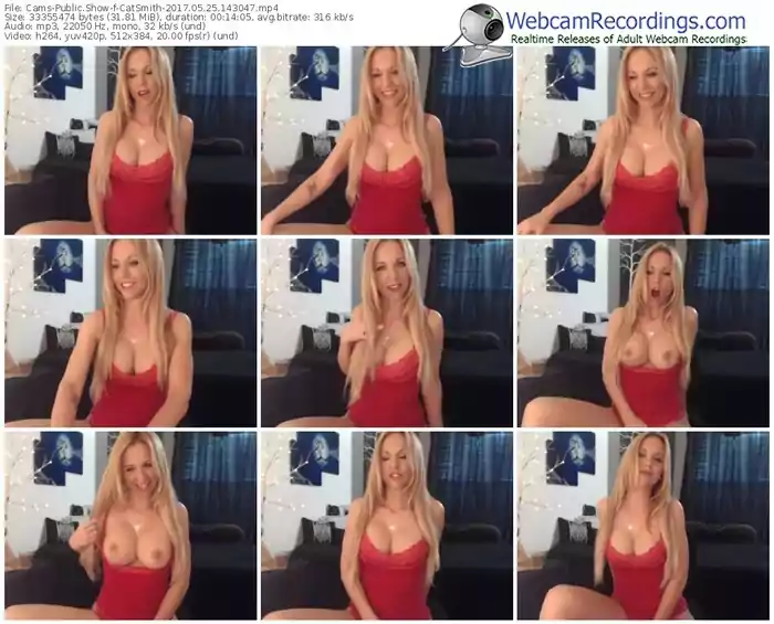 cams-catsmith-webcam-show-05_25_2017-14_30_47